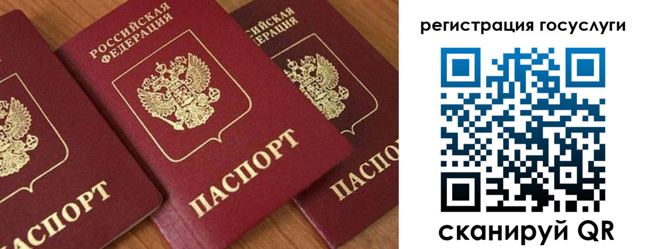 временная регистрация гарантия в Зернограде
